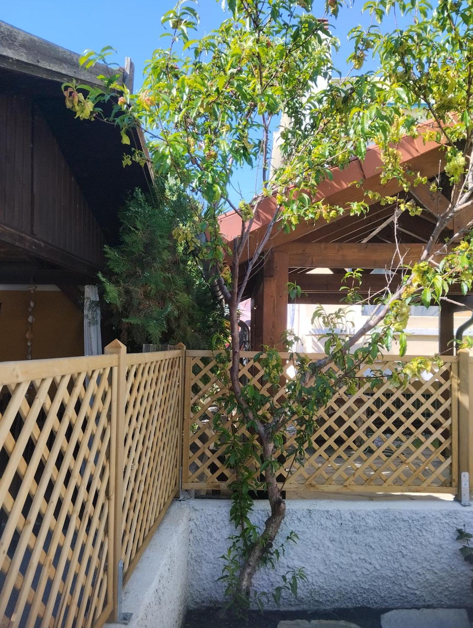 Theros Aegean Villa Nea Iraklitsa Exterior foto